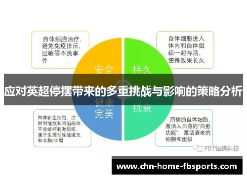 应对英超停摆带来的多重挑战与影响的策略分析